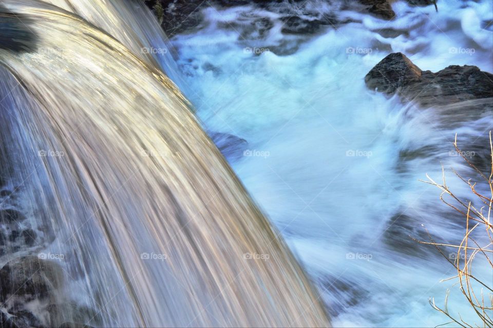 Nimbus Fish Hatchery releasing into their Nimbus River in Fair Oaks California