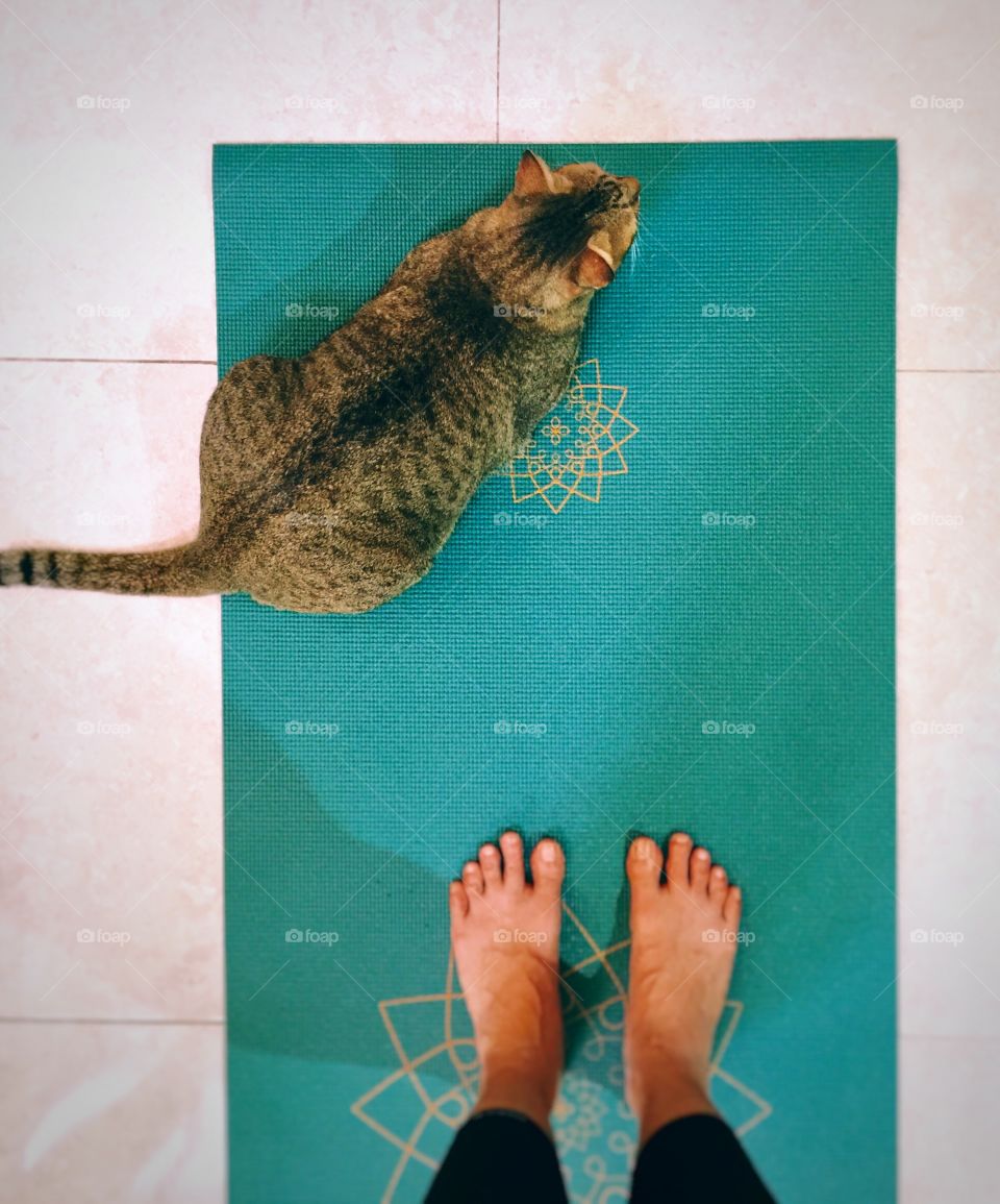 Yoga mat with cat