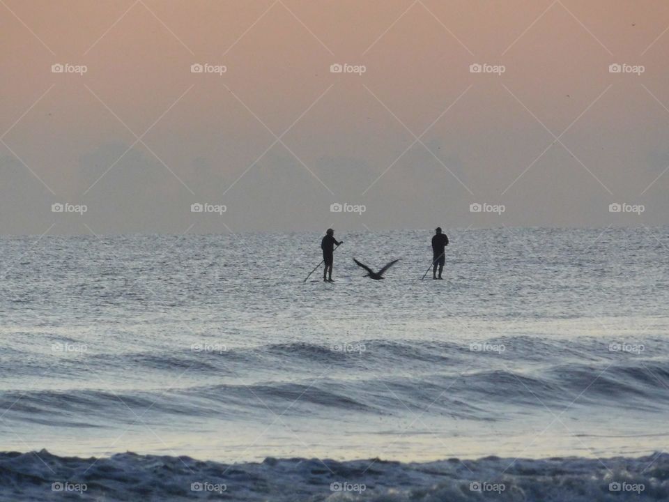 surfing on the beach, birds, sunrise