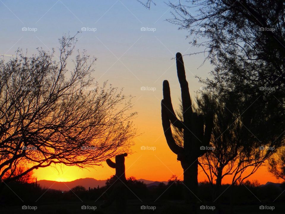 sunset in AZ