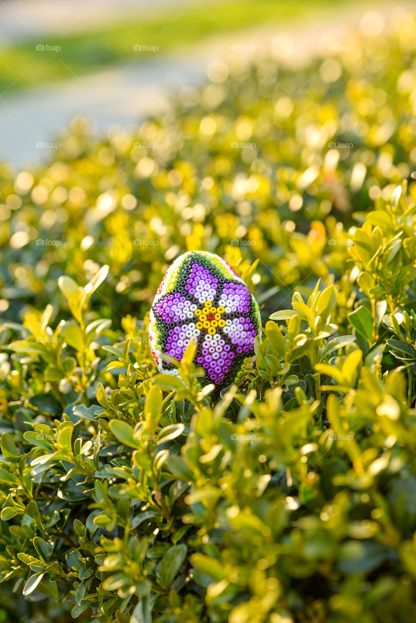 Decorated easter egg in plants outdoors