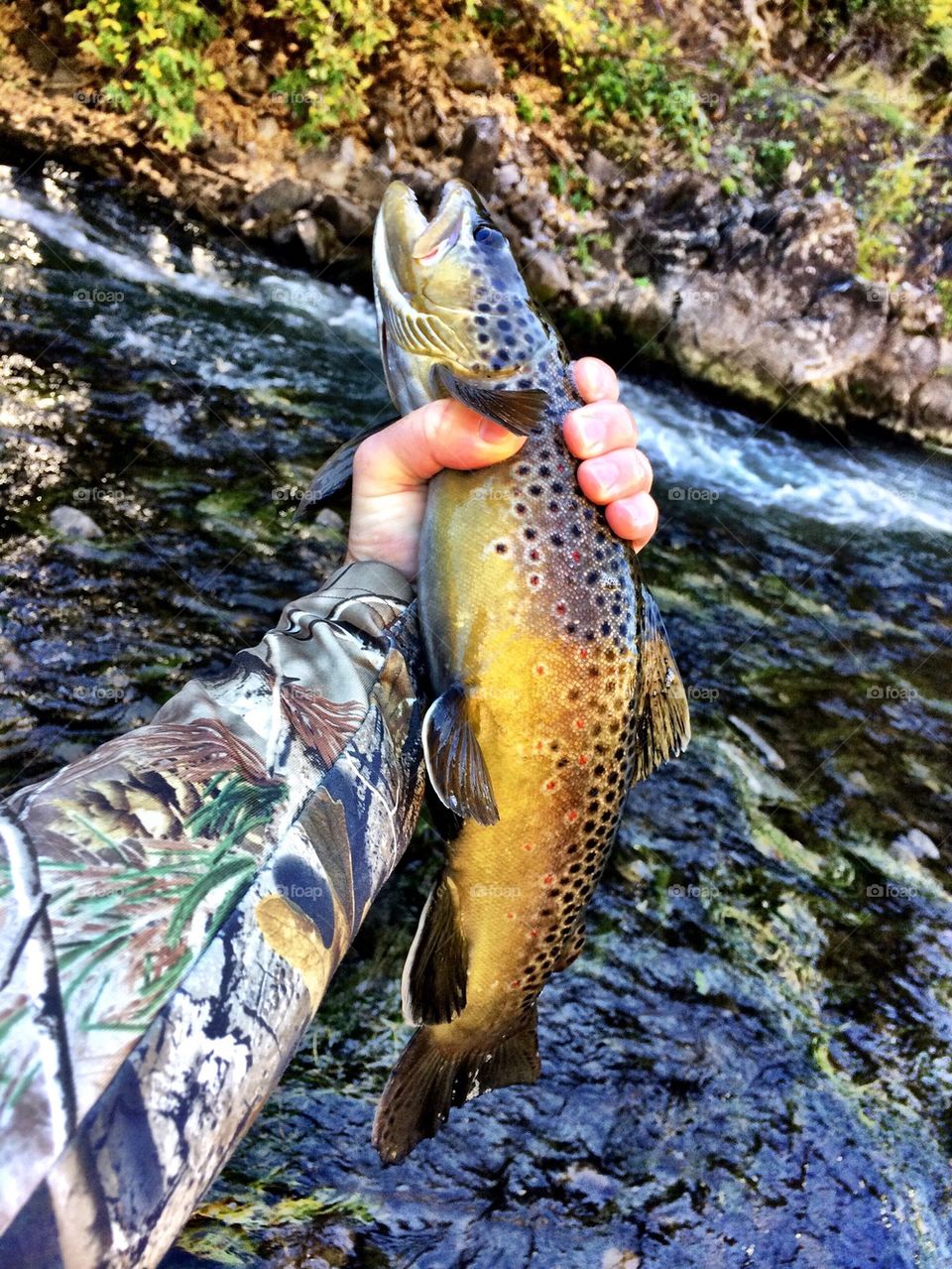 Fly Fishing