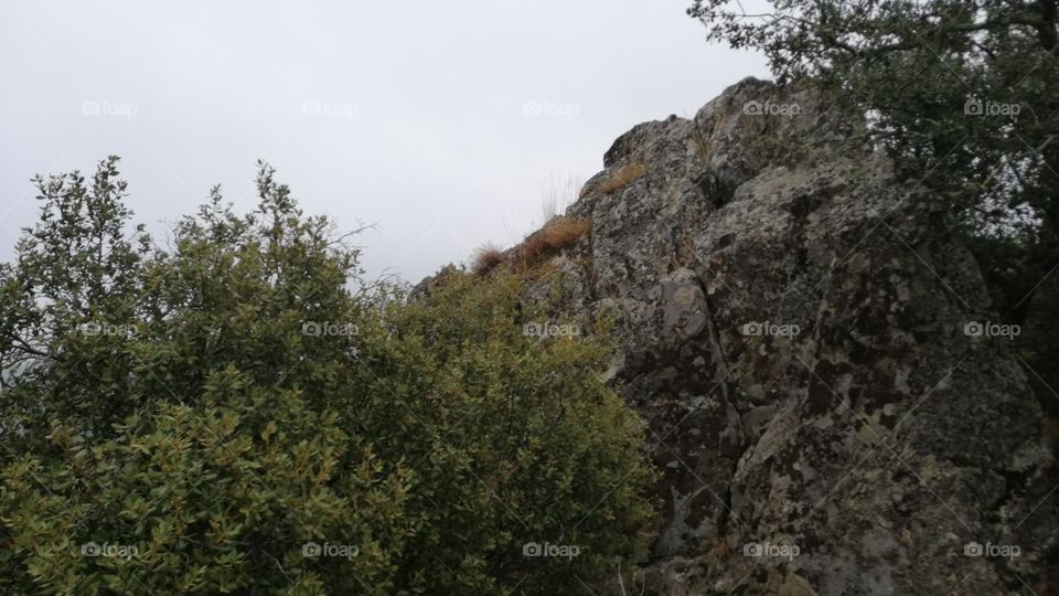 🌄🌄Fresh🌄🌄