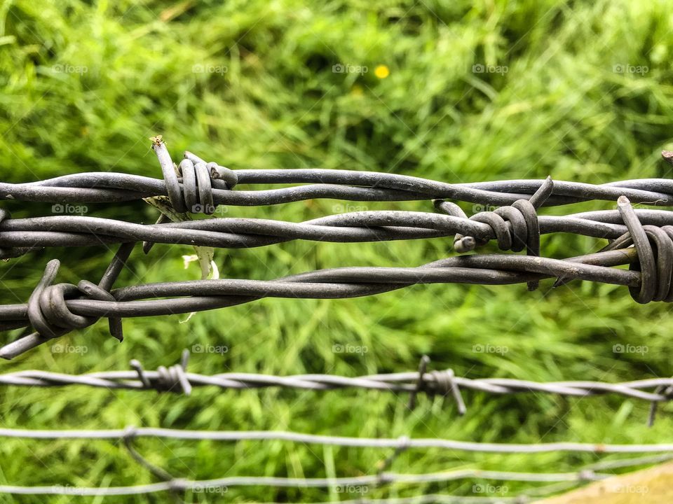 Barbed wire 