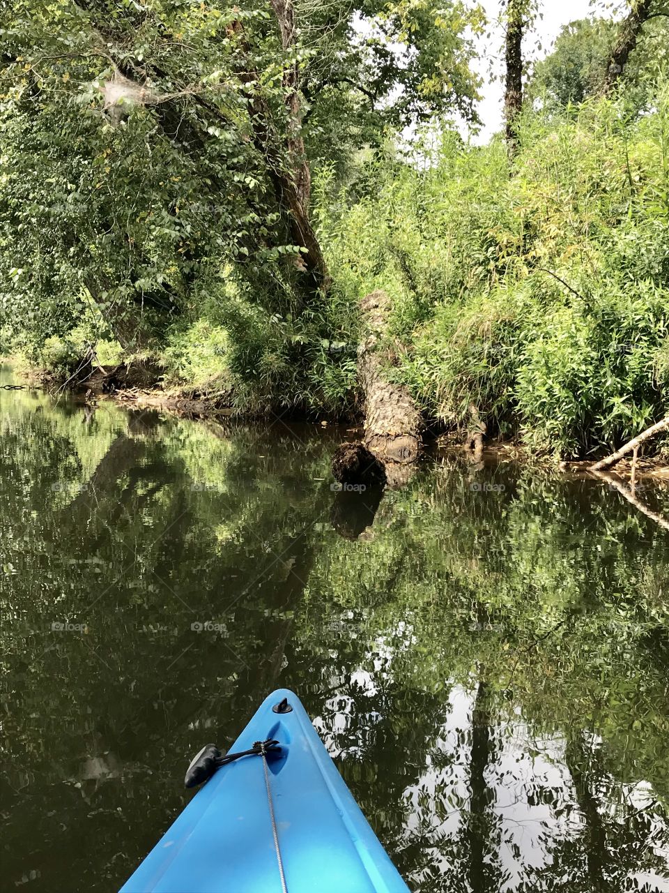 Kayak heading toward the black hole