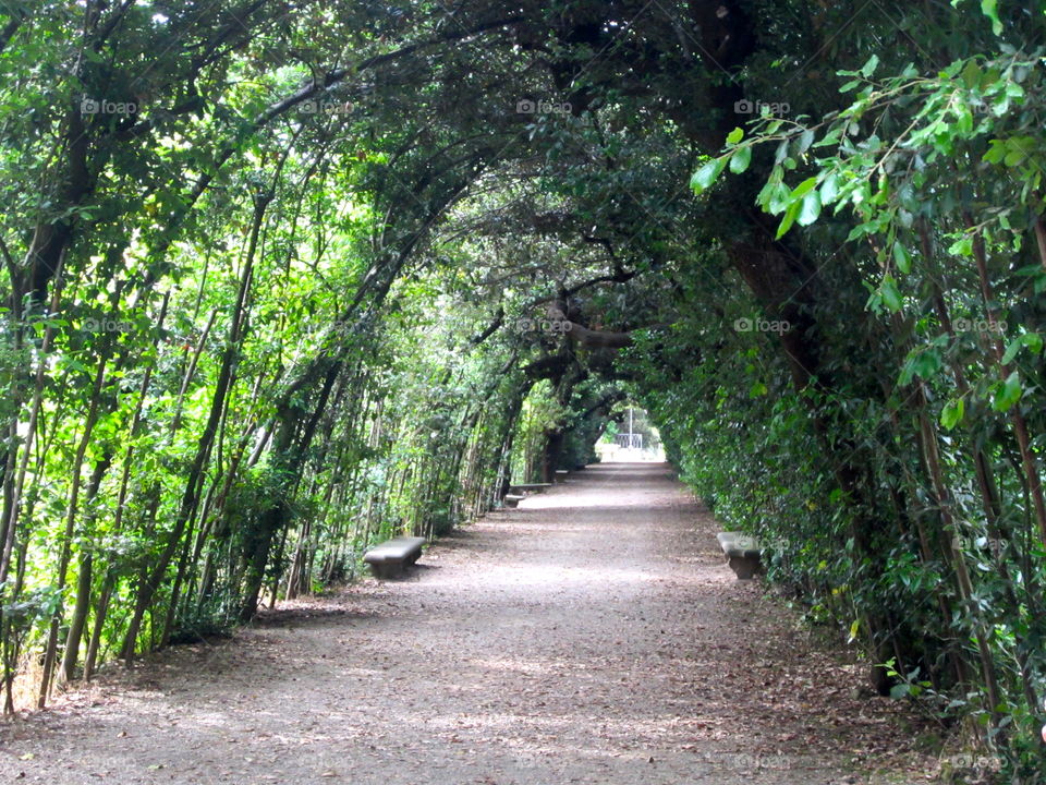 Arched walkway