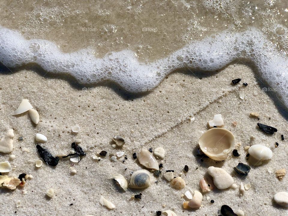 Surf sand and shells