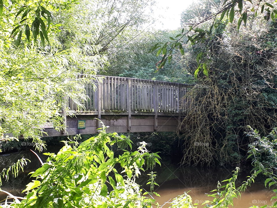 Wooden Bridge