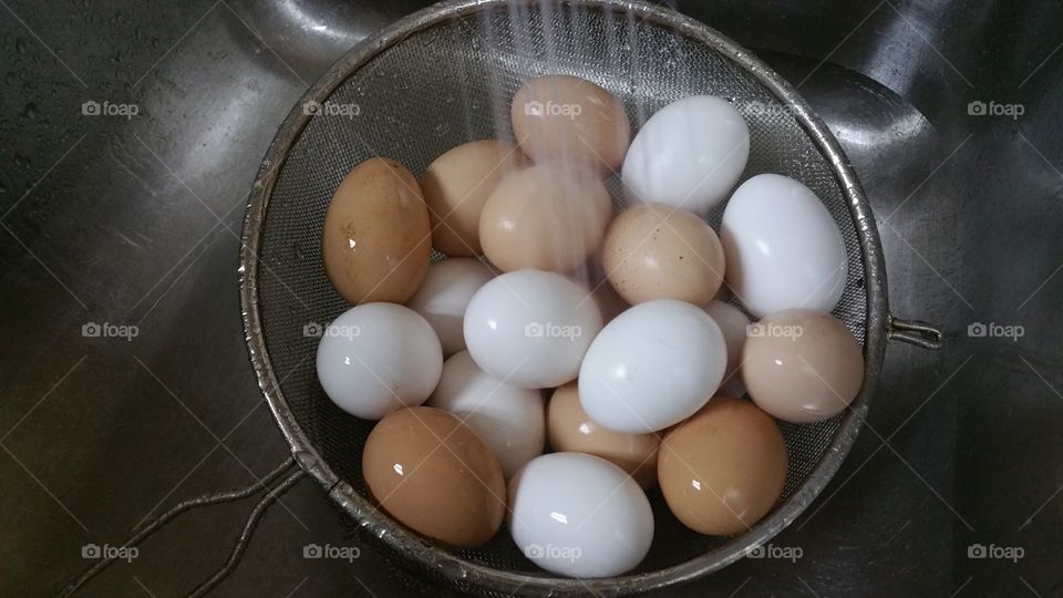 eggs. washing organics eggs