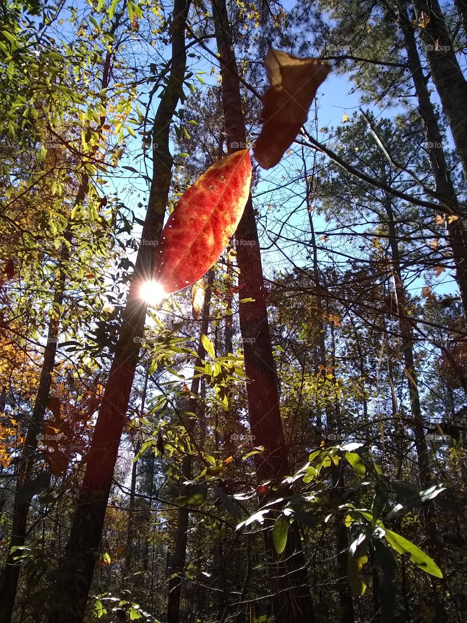 Hiking in the mountains in Atlanta, GA