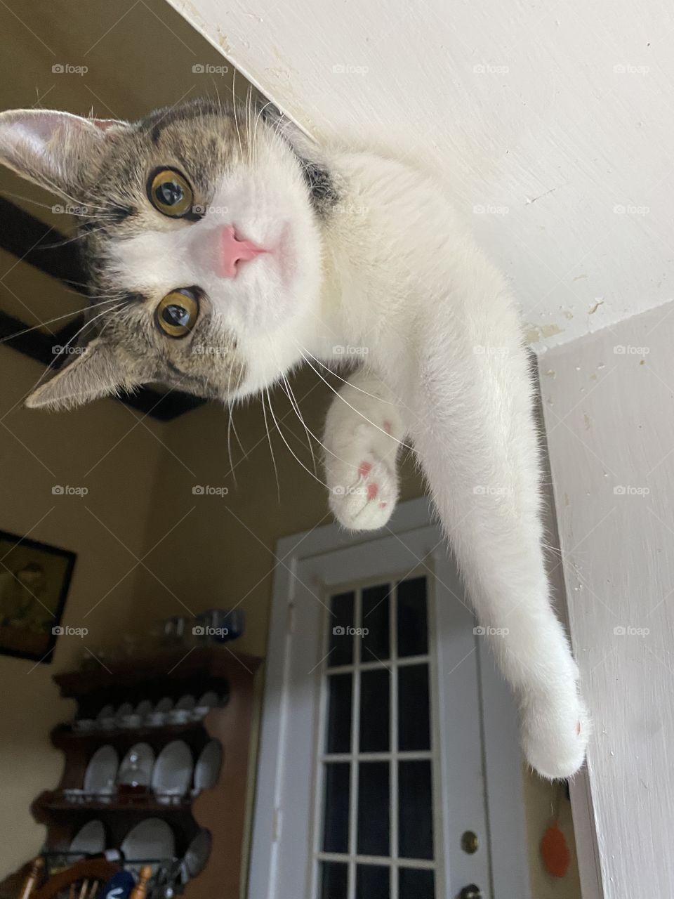 Can I get some of that Turkey 