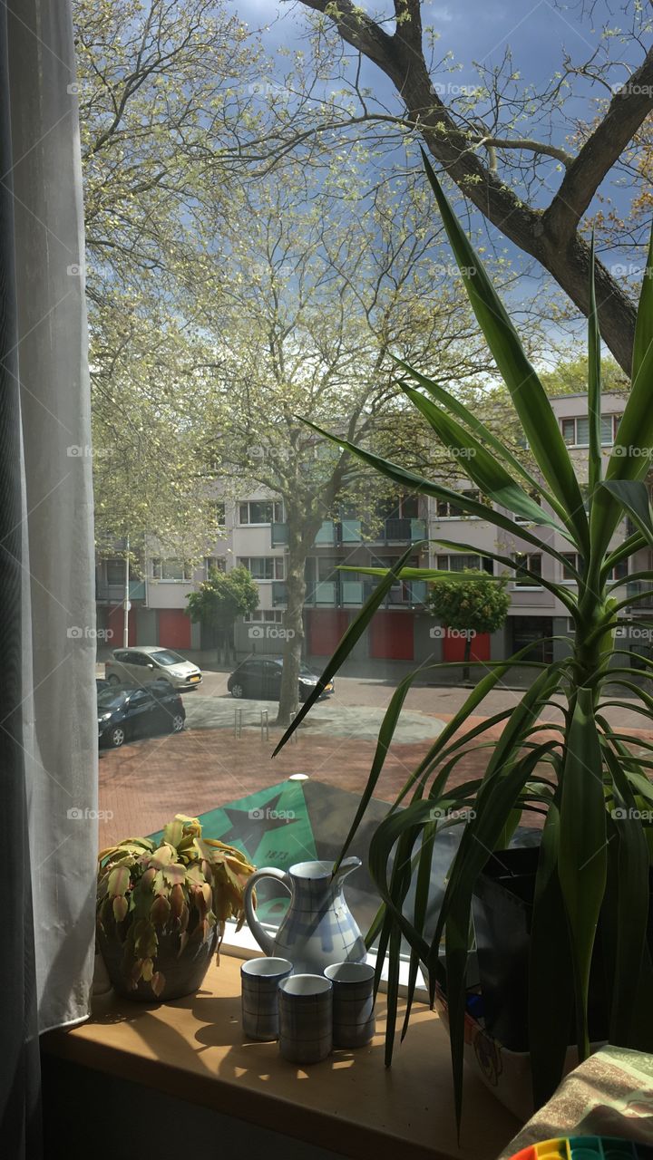 Outsite from home the Netherlands 