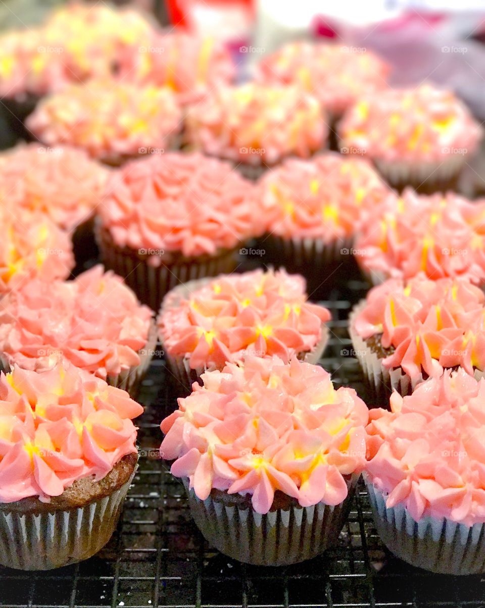 Cupcakes 
