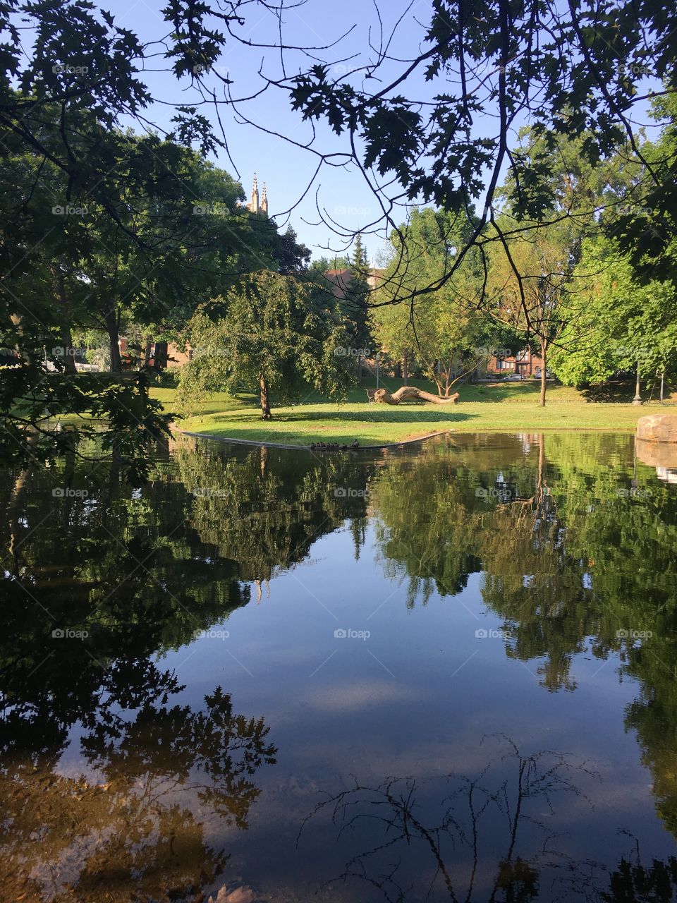 Beautiful calm morning in a city park during summertime 