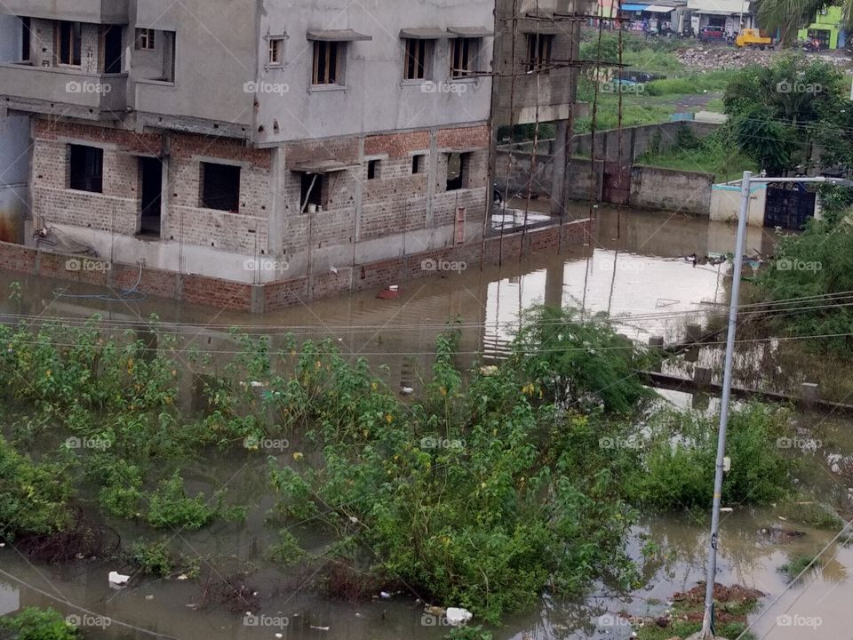 house surrounded by rain water