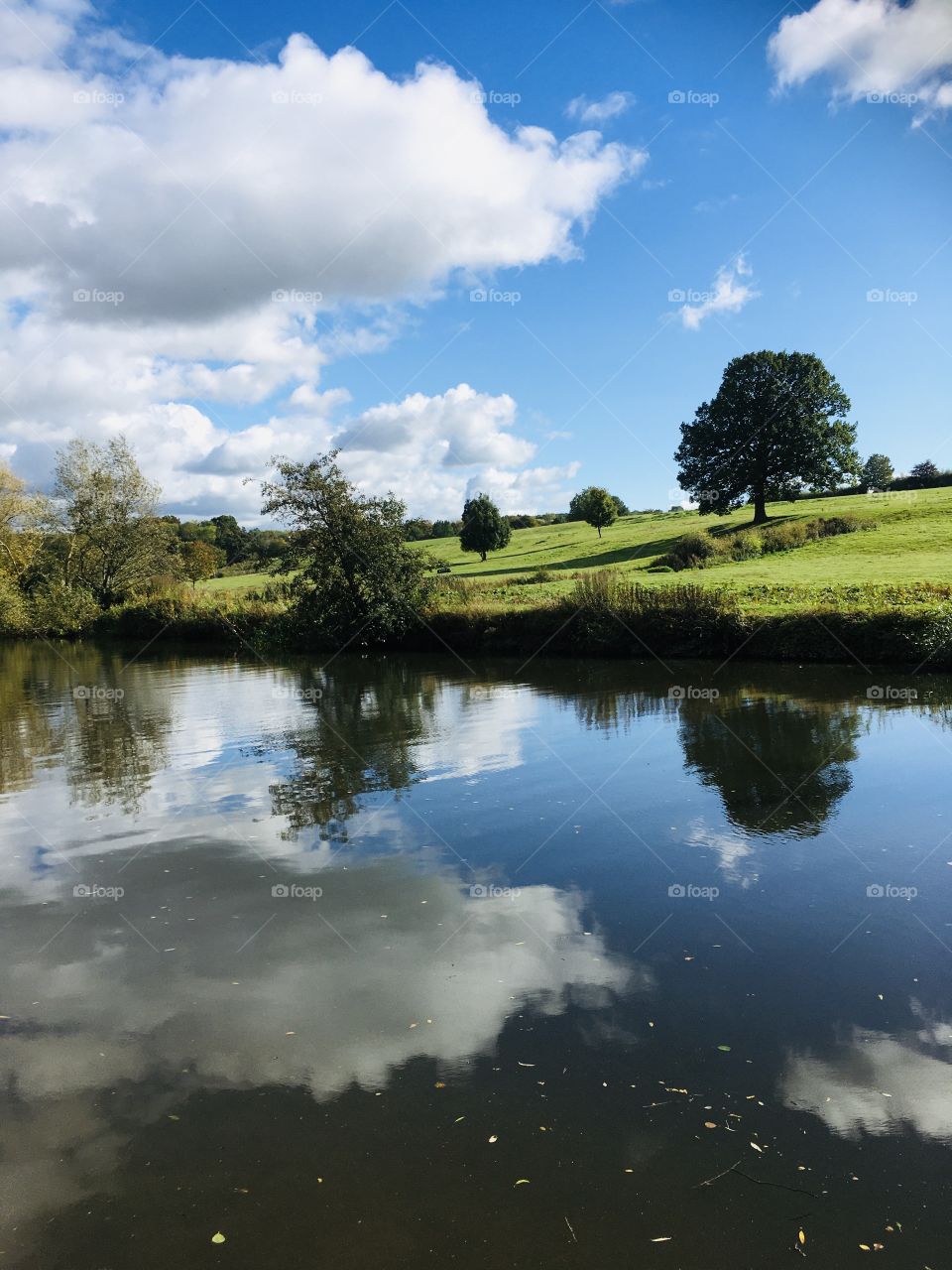 A beautiful walk along a lake at Teston Country Park today. Gorgeous weather helping to create such a peaceful and relaxing scene.