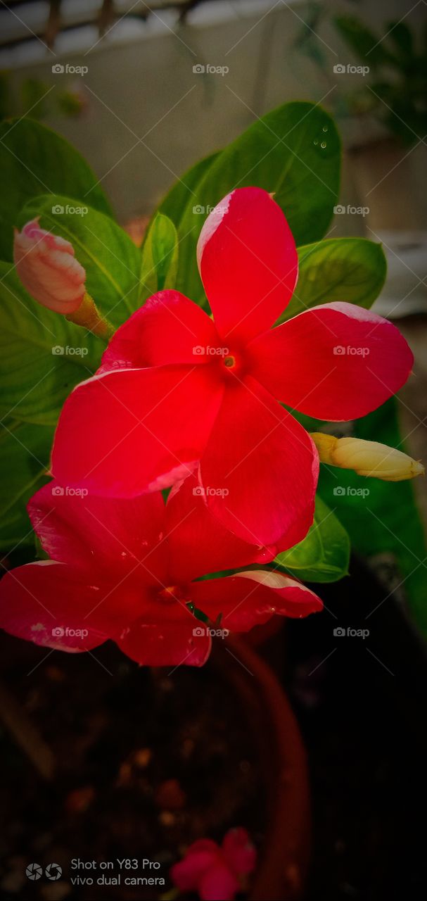 #foap #infoapartemen #foapjuly18 #foapaug18 #foapfeb18 #foapapril17 #foapers #foapjune18 #fotografoaprendiz #sfoapprentices #foaper #infoapartment #foapmission #foapmay18 #foapapr18 #foapit #infoaplikasipaytren #infoapple #foapom #foapjan19 #infoapp 