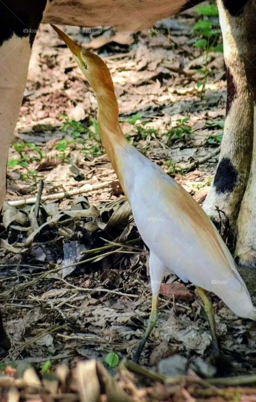 nature relation