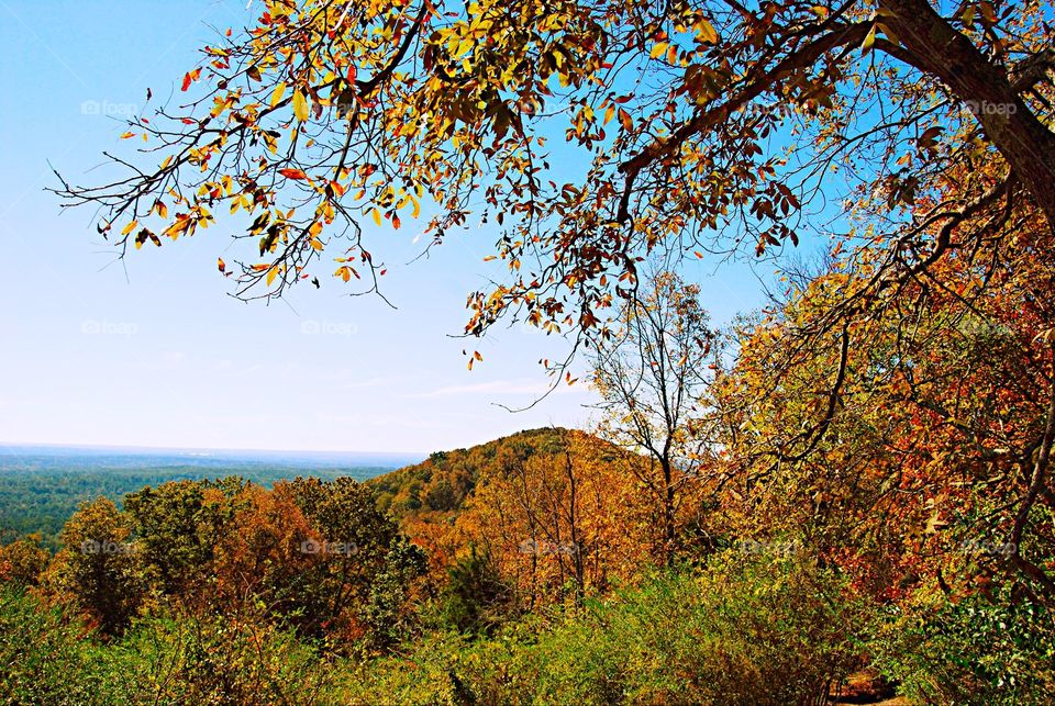 View from a mountain top