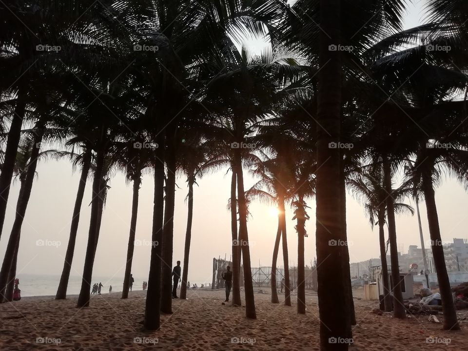 Sunset view near south Indian beach through trees
