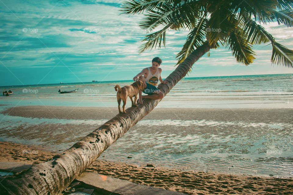 Man sitting on palm tree trunk