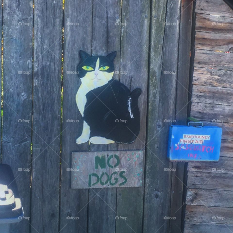 No Dogs Allowed 