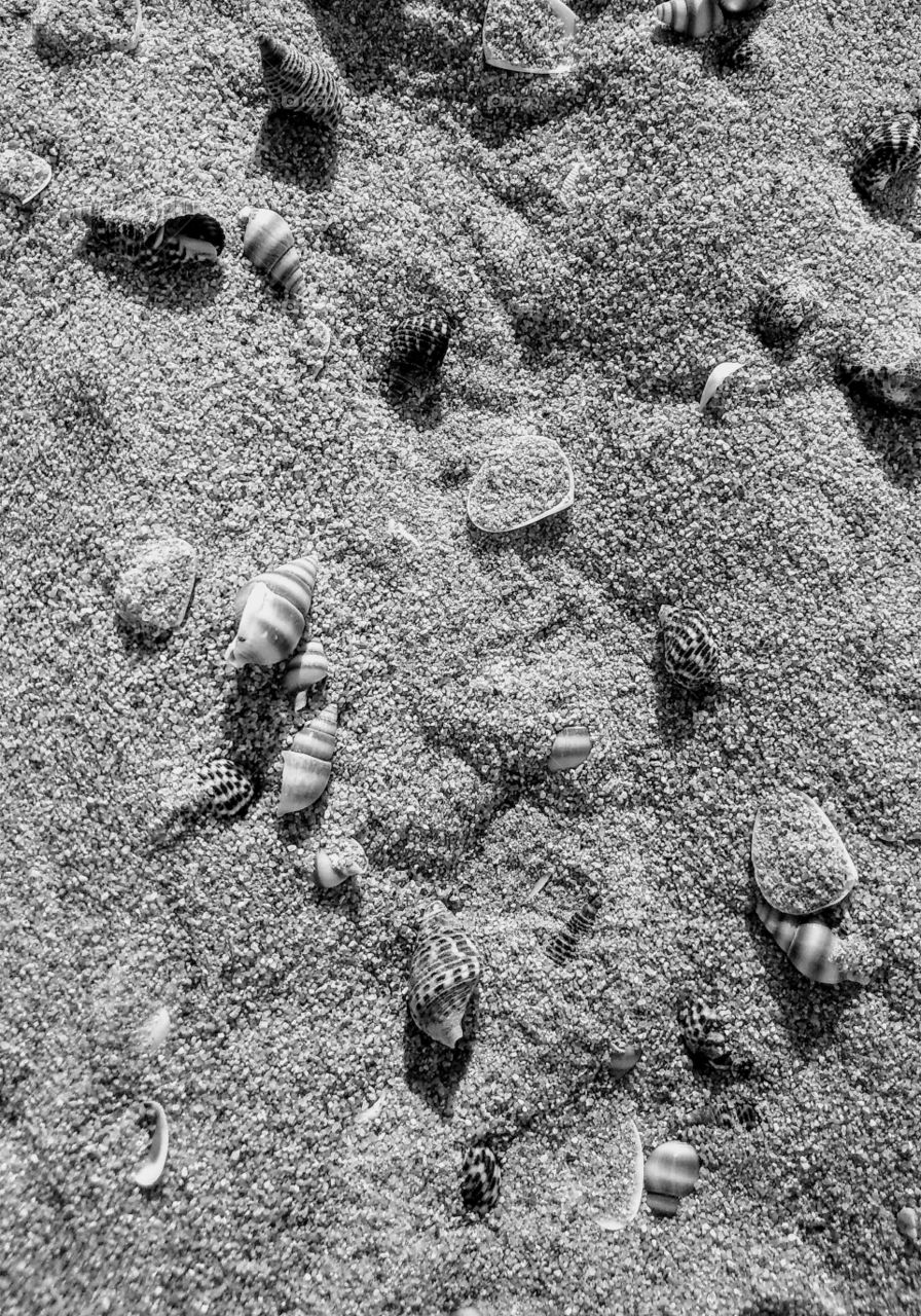 Sand in black and white