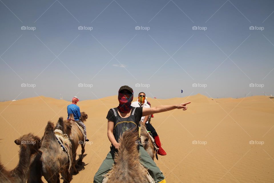 Camel Lady