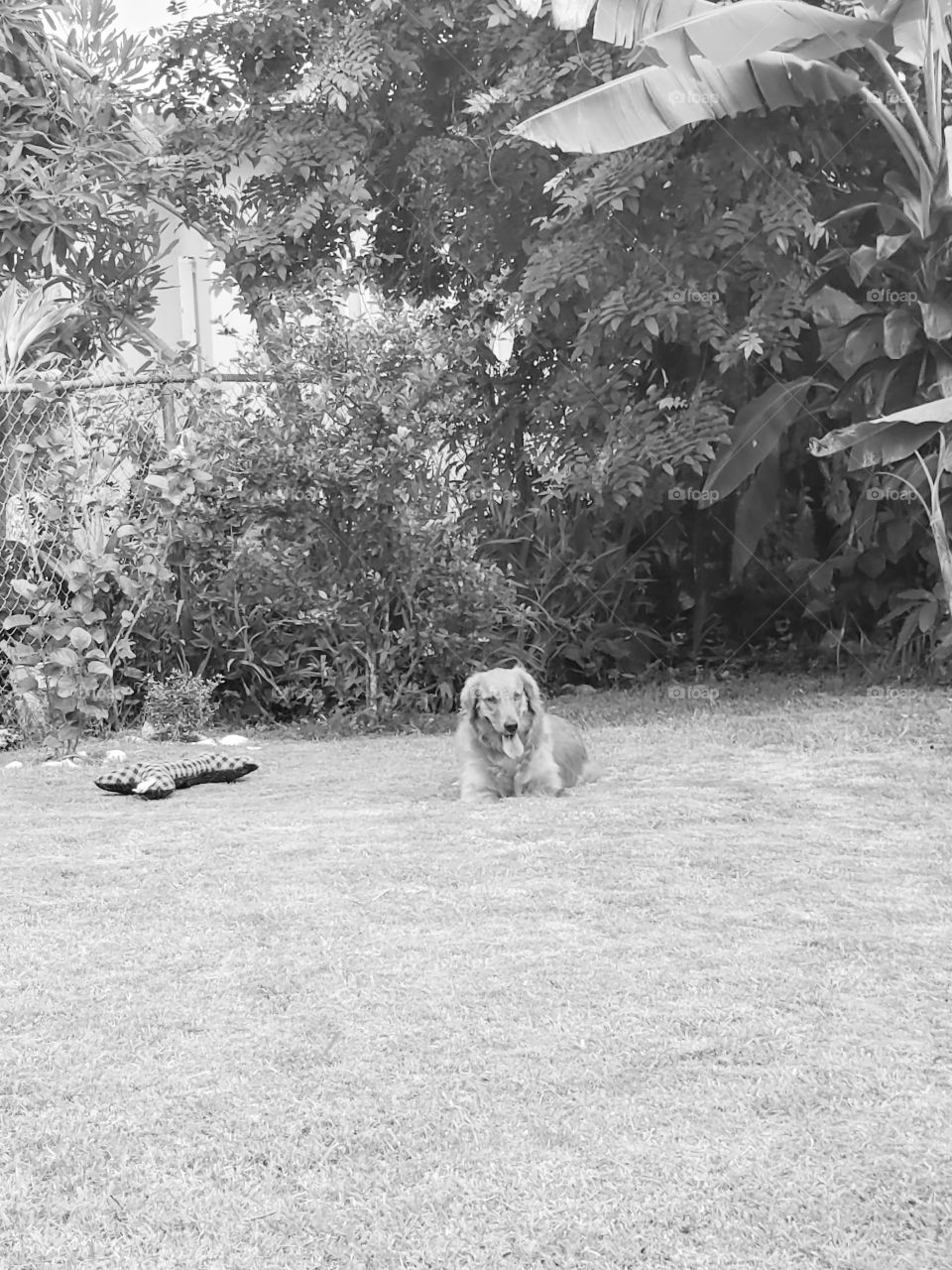 wonderful landscape b&w