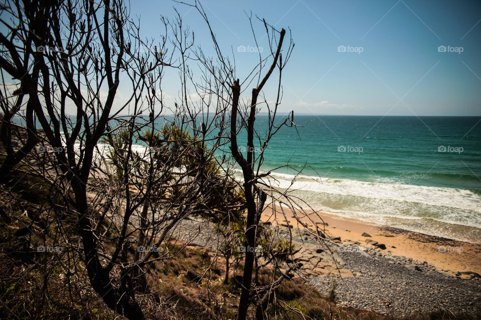 Beach view from behind the trees at Noosa Heads
