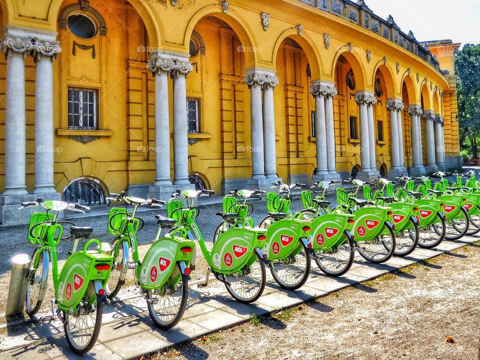 Row of the green bikes
