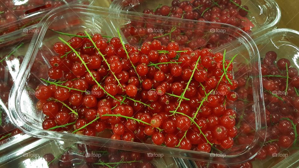 Red currants in plastic punets