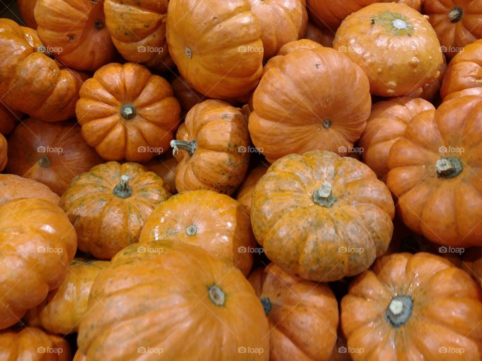 small pumpkins