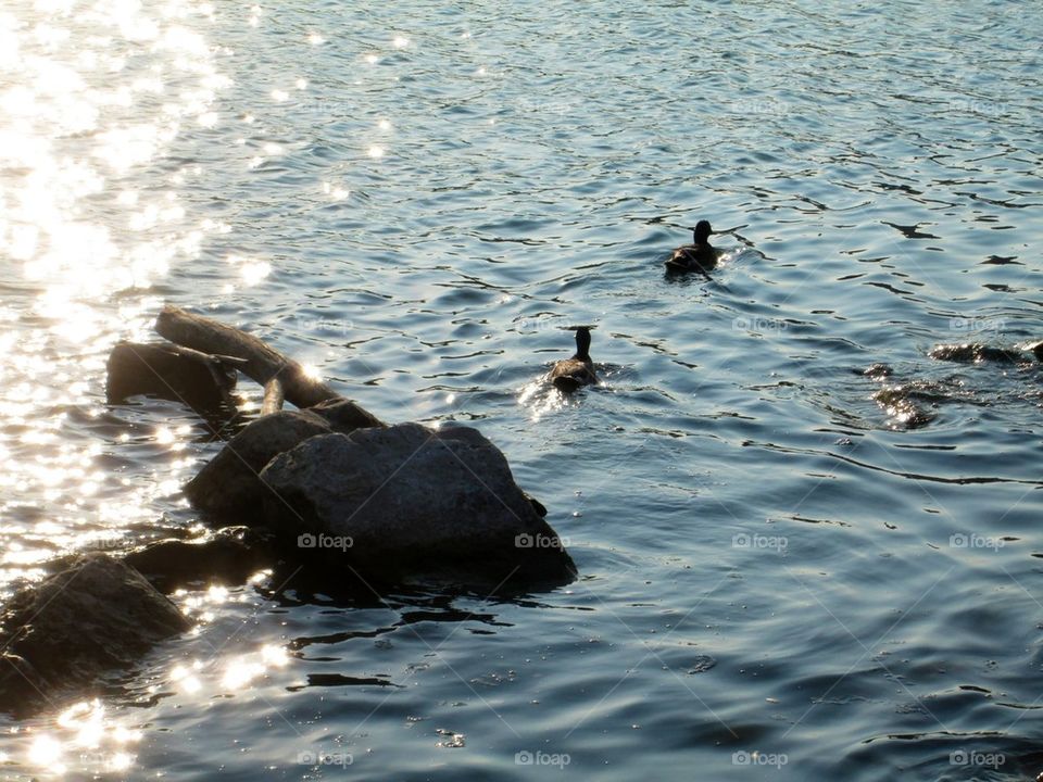 Had to stop and take a picture of this!