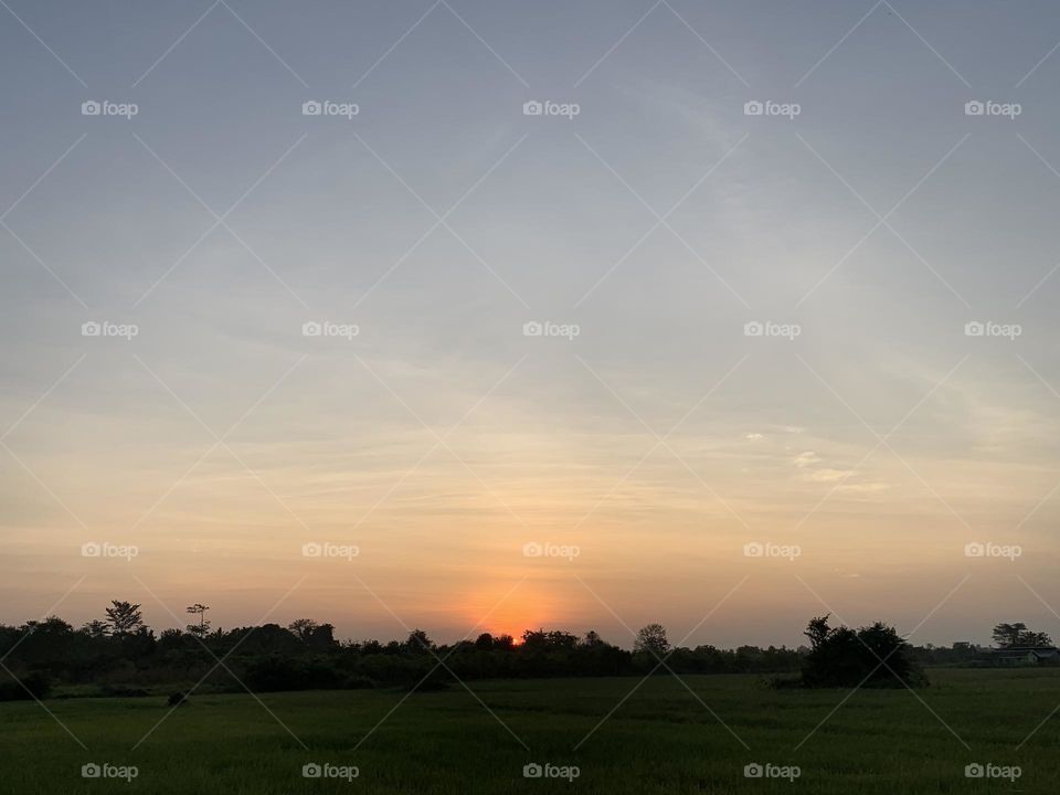 Sunrise at paddy field