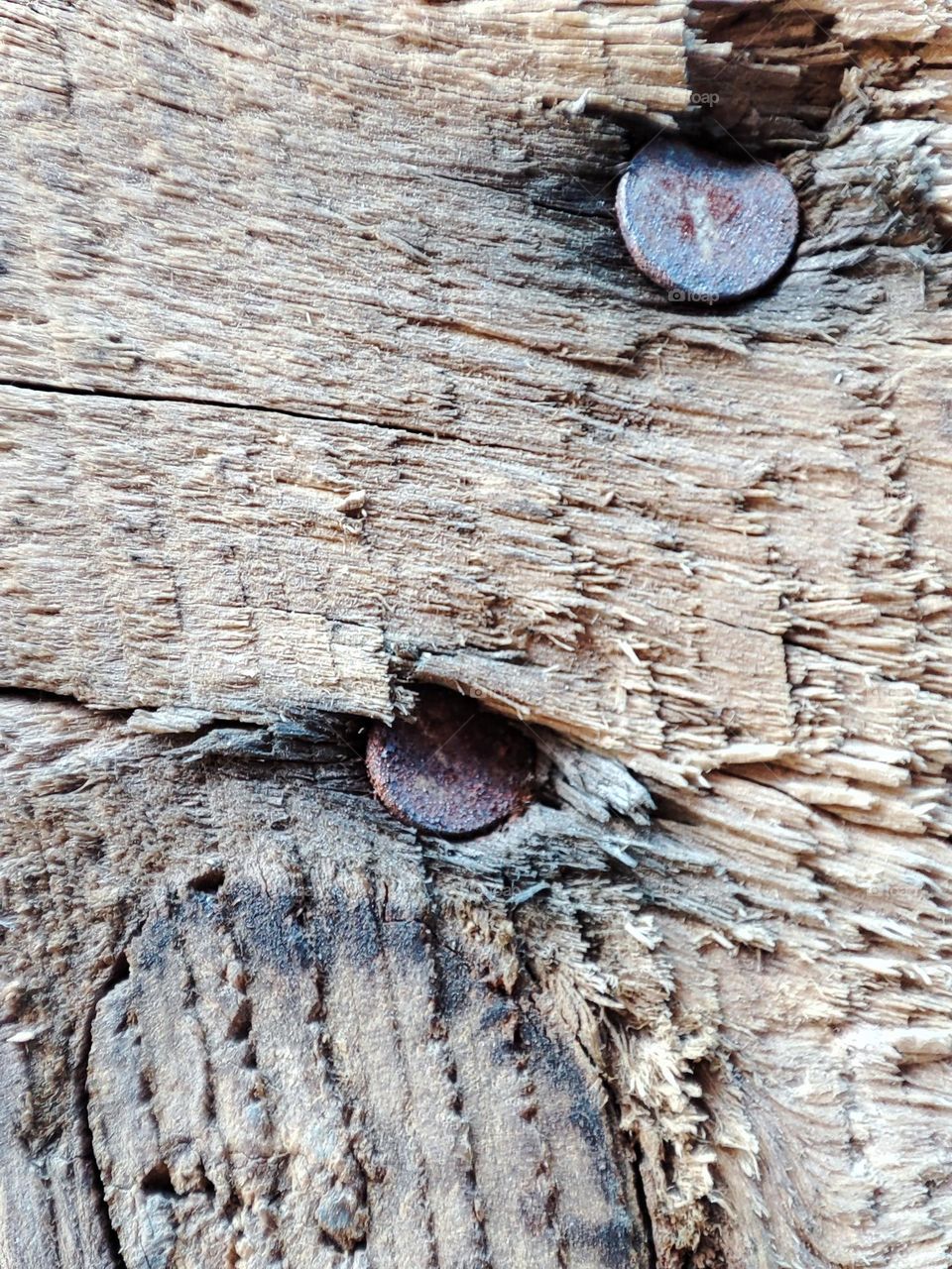 Rusty old nails