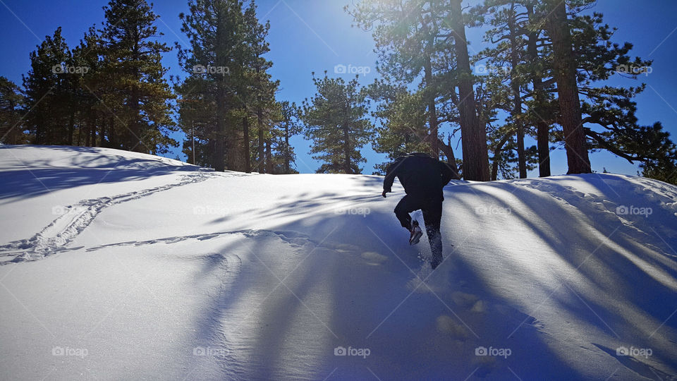 snow run