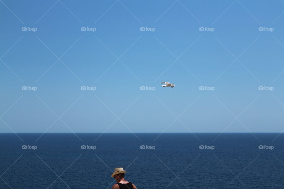 man and seagull