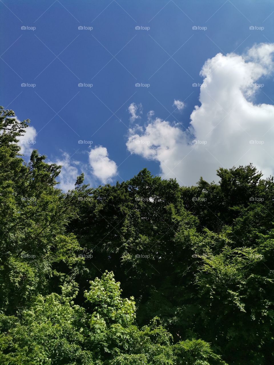 Gdańsk _ Podleśna Polana