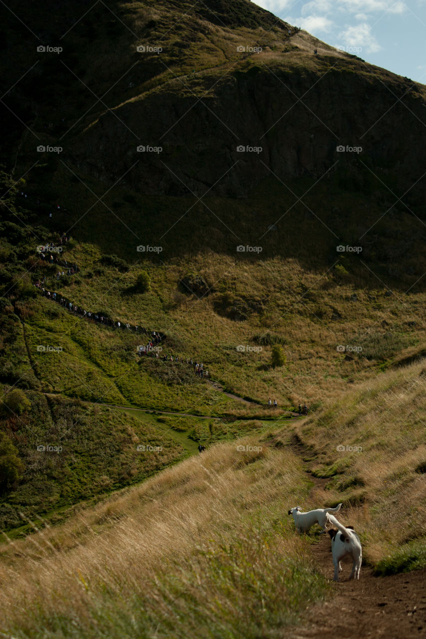 Holyrood Park, Scotland.