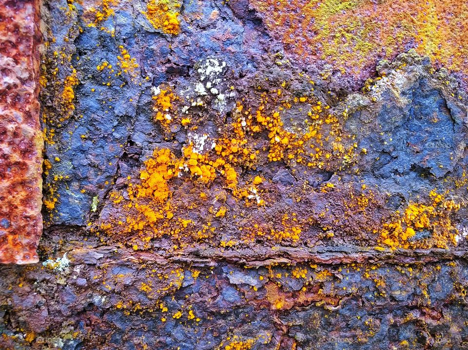 Colorful Rusty