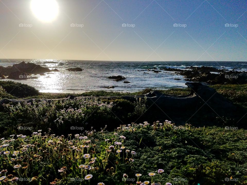 Asilomar beach