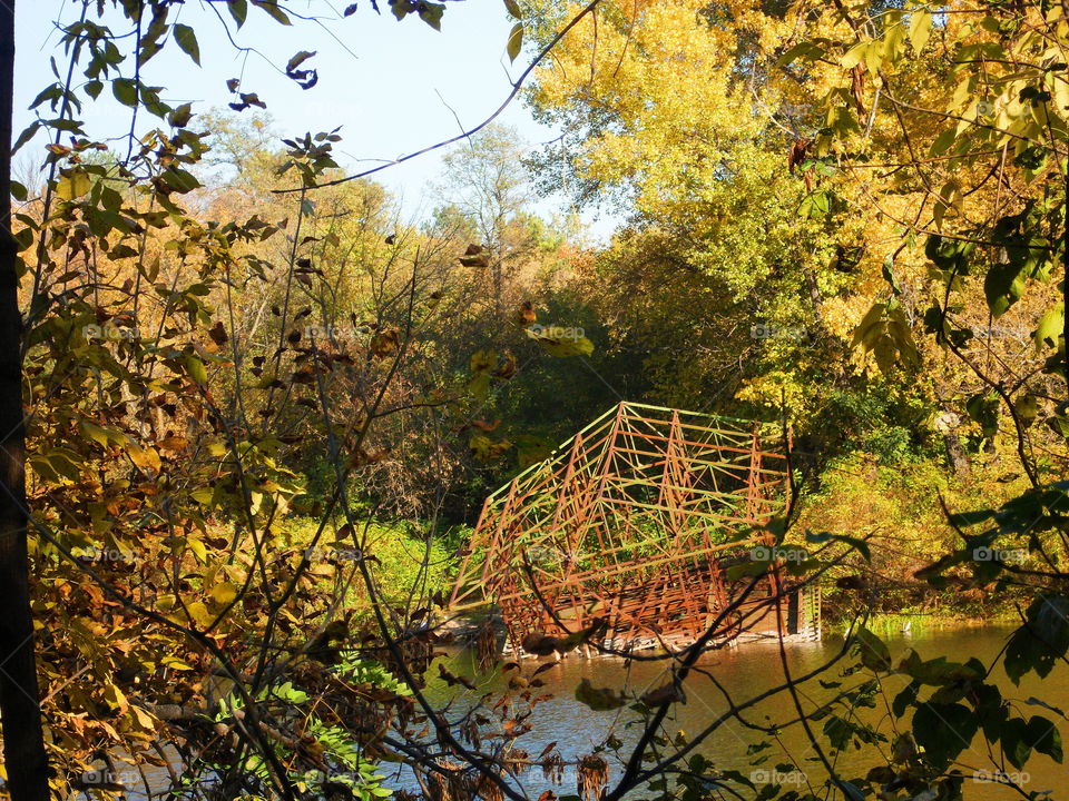 Golden autumn