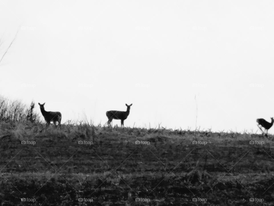 Driving the back Roads, Enjoying Nature