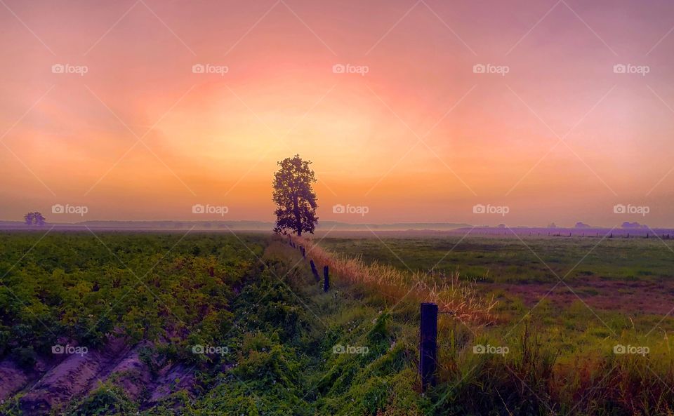 Orange red dramatic glow in a dawning sunrise sky over a Countryside single tree farming landscape