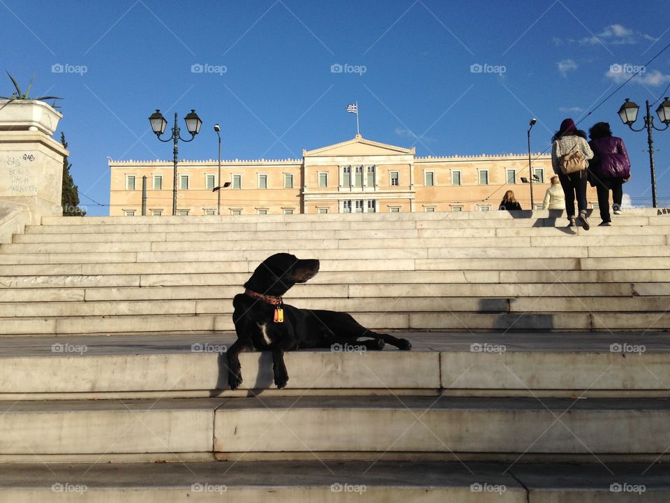 Architecture, People, Building, Step, City