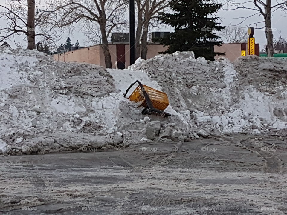 Pushing Aside Traditional Shopping