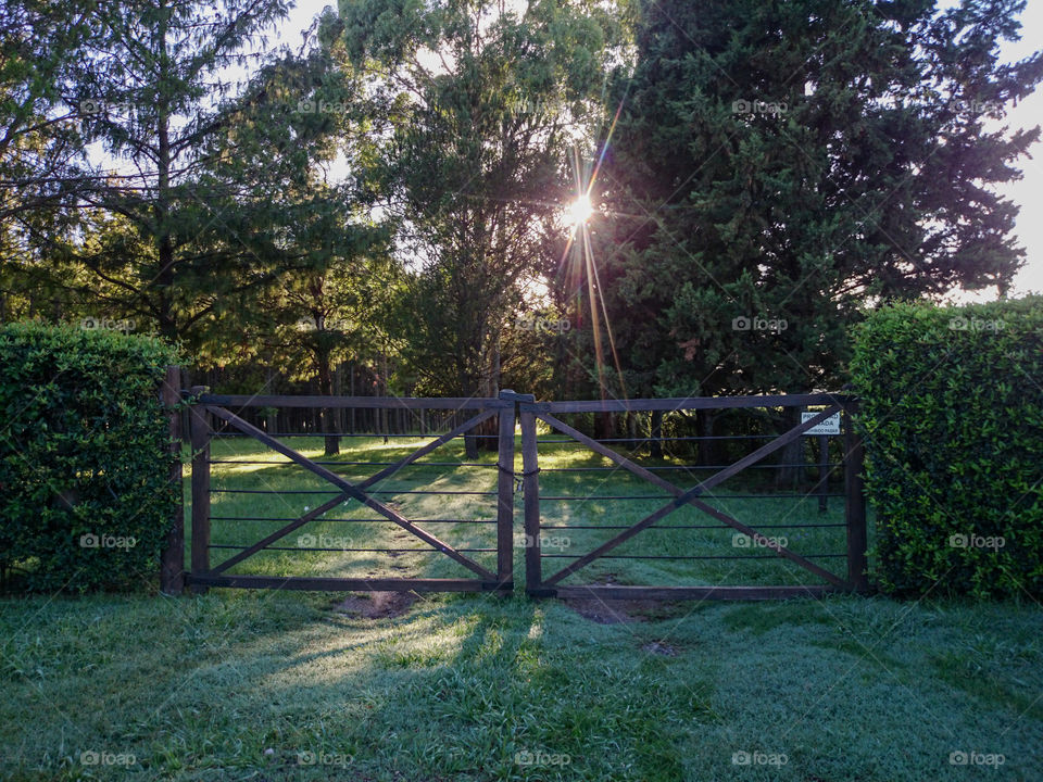 closed gate in The forest