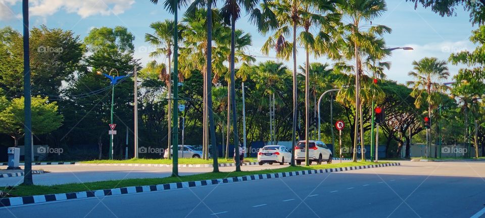 beautiful perspective of cityscape and natural environment.