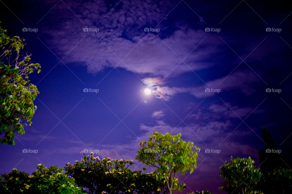 bright moon in the sky